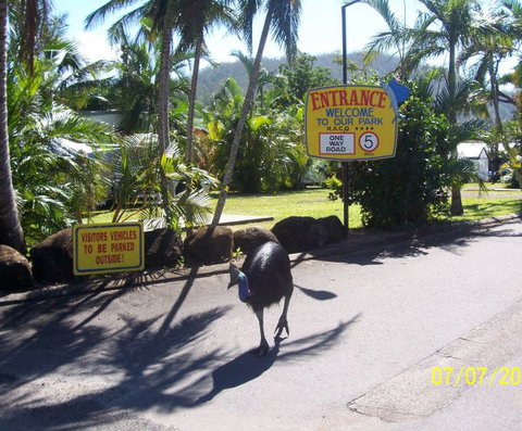 Flying Fish Point Tourist Park - Stayed 9