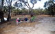 Beds In The Barwon - thumb 6