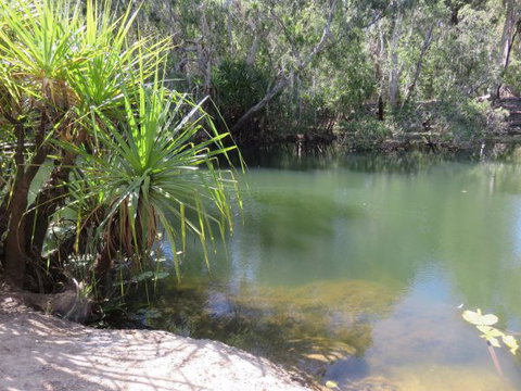 Bitter Springs Cabins And Camping - Stayed 7