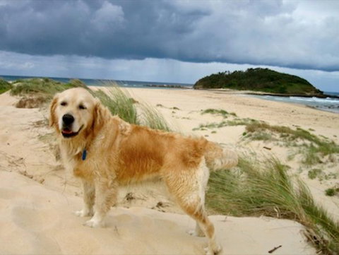 Castaway Holiday Units - Stayed 1