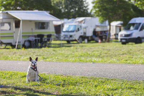 Exhibition Park In Canberra Camping Facilities - Stayed 2