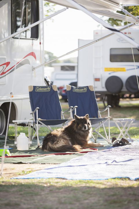 Exhibition Park In Canberra Camping Facilities - Stayed 3