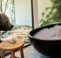Jamala Wildlife Lodge - Stays Accommodation