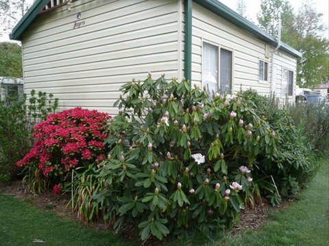 Jenolan Caravan Park - Stayed 0