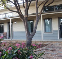 The Grape and Olive in Willunga - Stayed