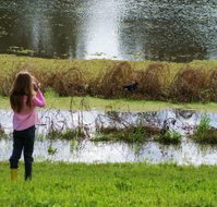 Wilga Hotel - Stayed