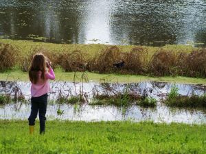 Wilga Hotel - Stayed 0