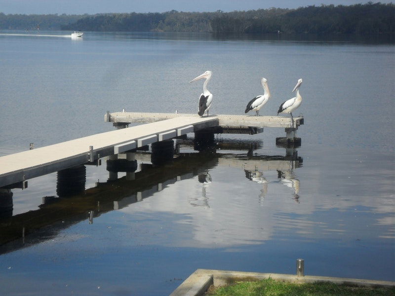 Basin View NSW Stayed
