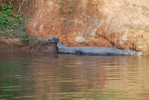 Mount Nancar Wilderness Retreat - Stayed 3