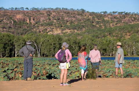 Mount Nancar Wilderness Retreat - Stayed 5