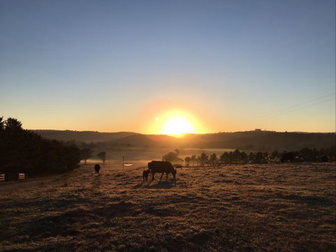 Old Bara Farmstay - Stayed 8