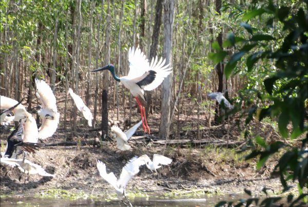 Humpty Doo NT Stayed