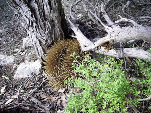 Raven Cottage - Stayed 9