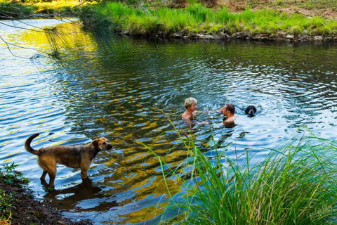 Terania Green Boutique Eco Cottages - Stayed 4