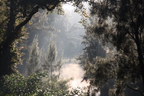 Elderslie House - Stayed 29