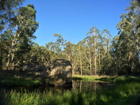 Wilderness Bunkhouse - Stayed 3