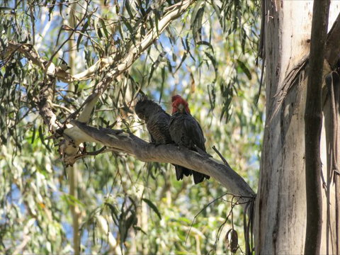 Wilderness Bunkhouse - Stayed 4