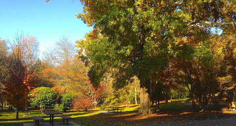 Eastern Dandenong Ranges Visitor Information Centre - Stayed 1