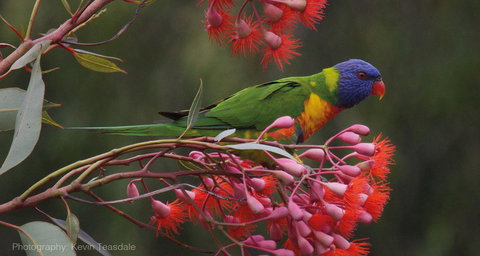 Eastern Dandenong Ranges Visitor Information Centre - Stayed 5