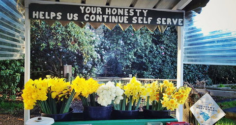 Eastern Dandenong Ranges Visitor Information Centre - Stayed 6