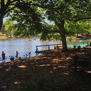 Eastern Dandenong Ranges Visitor Information Centre - Stayed 10