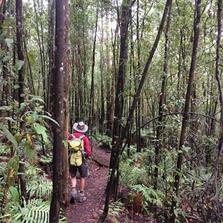 Eastern Dandenong Ranges Visitor Information Centre - Stayed 12