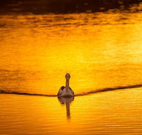 River Shack Rentals - Living the Dream - Stayed