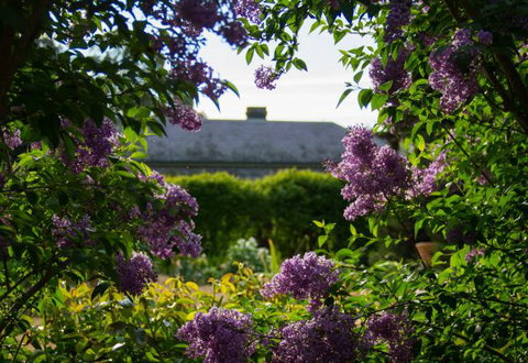 Eurambeen Historic Homestead And Gardens - Stayed 1