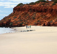 Herald Bight Camp at Francois Peron National Park - Stayed
