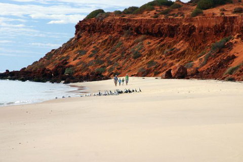 Herald Bight Camp At Francois Peron National Park - Stayed 0