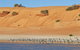 Herald Bight Camp At Francois Peron National Park - thumb 3