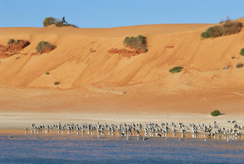 Herald Bight Camp At Francois Peron National Park - Stayed 3