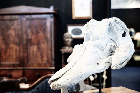 AAADA Antiques & Art Fair Sydney - Stayed 7