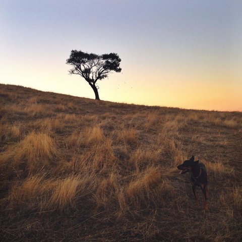 Kimo Estate - Stayed 1