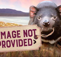 Thalia Haven - Stayed