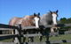 Clydesdale Motel And Steakhouse - thumb 0