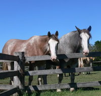 Clydesdale Motel and Steakhouse - Stayed