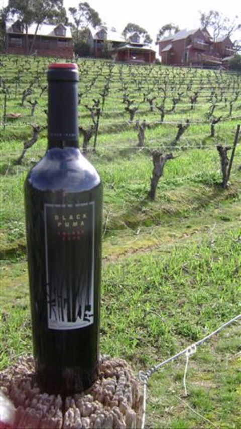 Warrenmang Vineyard & Resort - Stayed 5