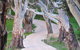 Barrenjoey Hideaway - thumb 2