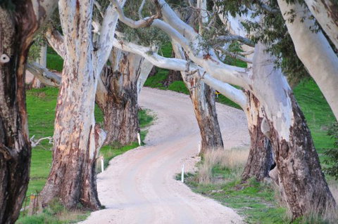 Barrenjoey Hideaway - Stayed 2