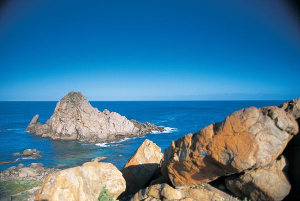 Boranup WA Stayed