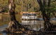 Moama On Murray Houseboats - thumb 2