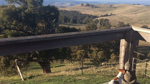 Merrindie - Stayed 5