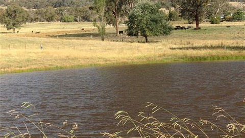 Black Horse Park - Stayed 4