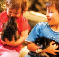 Macka's Farm - Stayed