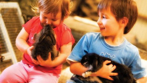 Macka's Farm - Stayed 0