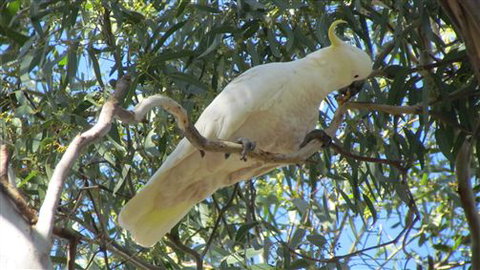 River Gardens Bed And Breakfast Farmstay - Stayed 1