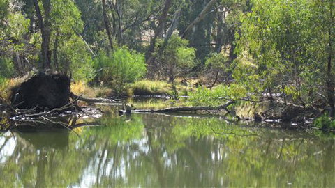 River Gardens Bed And Breakfast Farmstay - Stayed 2