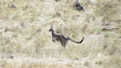 River Gardens Bed And Breakfast Farmstay - Stayed 7