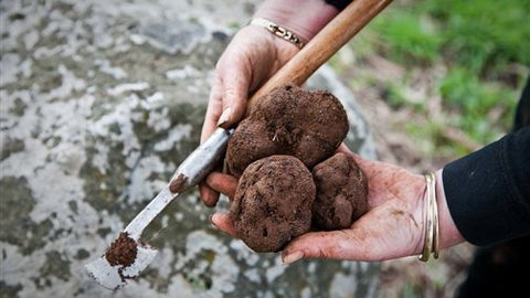 Black Cat Cottage - Stayed 1